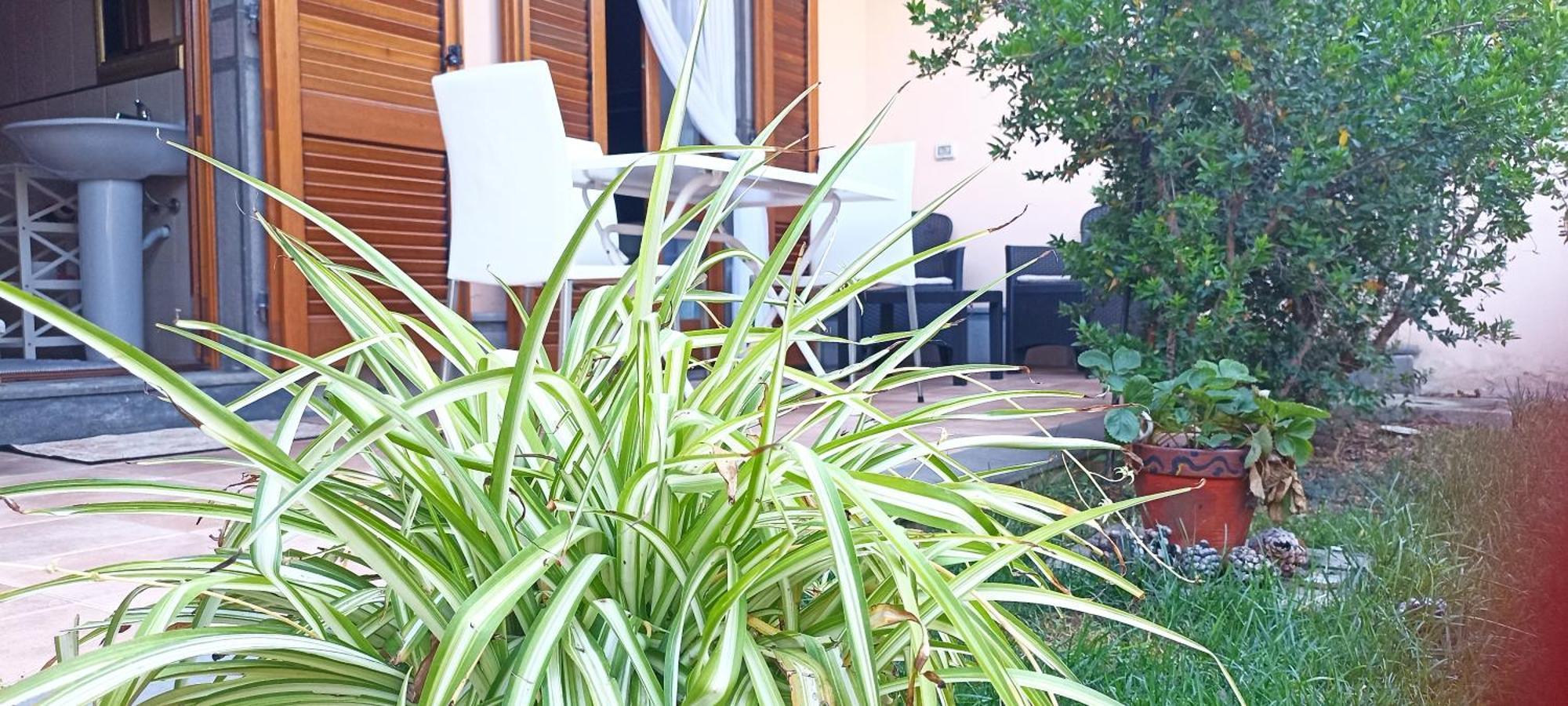 Apartament Casa Lilla 1 E 2 Oristano Zewnętrze zdjęcie